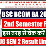 LNMU UG SEM 2 Result 2024