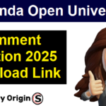 NOU PG Assignment 2025