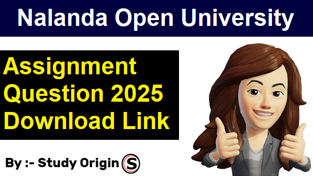 NOU PG Assignment 2025