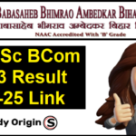 BRABU Part 3 Result 2022-25