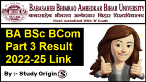 BRABU Part 3 Result 2022-25 | Bihar University Part 3 Result BA BSc BCom